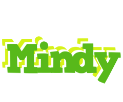 Mindy picnic logo