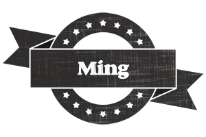 Ming grunge logo