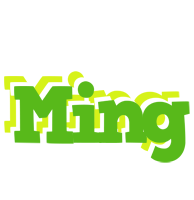 Ming picnic logo