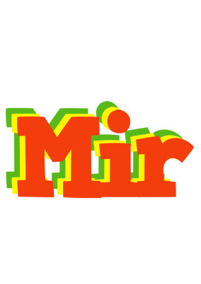 Mir bbq logo