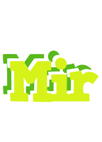 Mir citrus logo