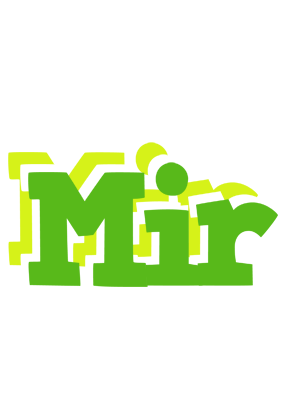 Mir picnic logo