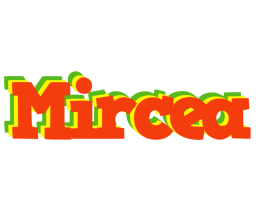 Mircea bbq logo