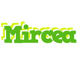 Mircea picnic logo