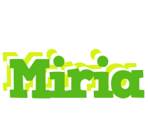 Miria picnic logo