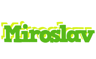 Miroslav picnic logo