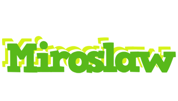 Miroslaw picnic logo