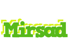 Mirsad picnic logo