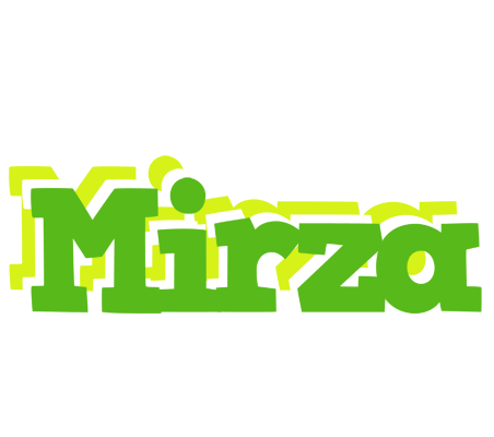 Mirza picnic logo