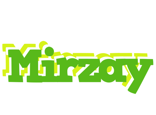 Mirzay picnic logo