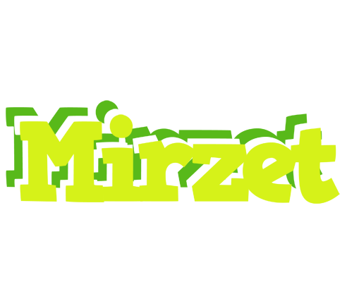Mirzet citrus logo
