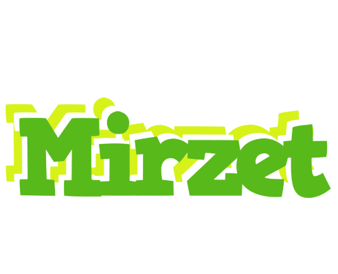 Mirzet picnic logo