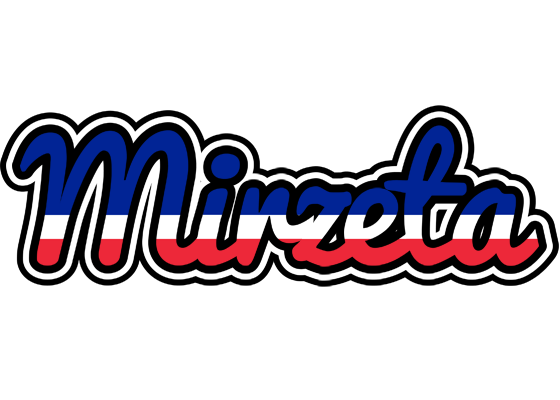 Mirzeta france logo