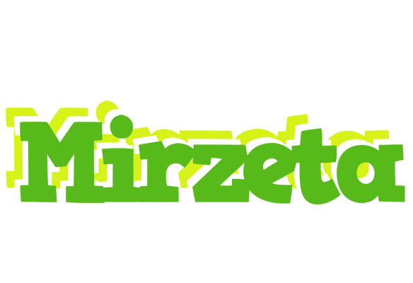 Mirzeta picnic logo
