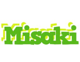 Misaki picnic logo