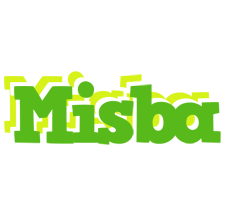 Misba picnic logo