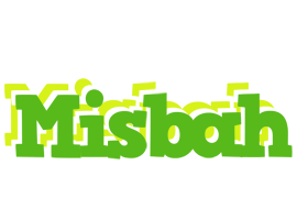 Misbah picnic logo