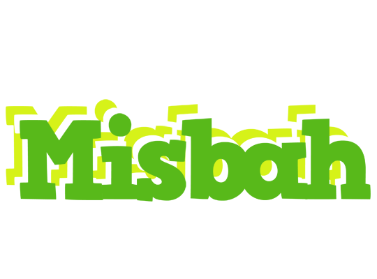 Misbah picnic logo