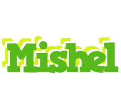 Mishel picnic logo