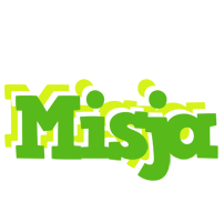 Misja picnic logo