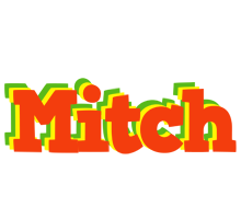 Mitch bbq logo