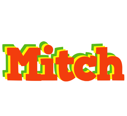 Mitch bbq logo