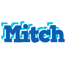 Mitch business logo