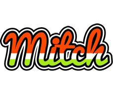 Mitch exotic logo