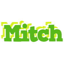 Mitch picnic logo