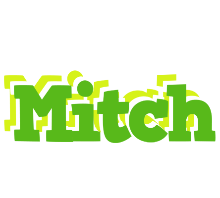 Mitch picnic logo