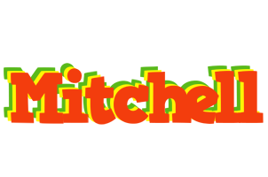 Mitchell bbq logo