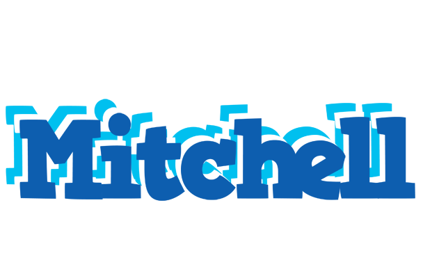 Mitchell business logo