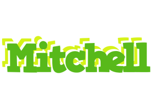 Mitchell picnic logo