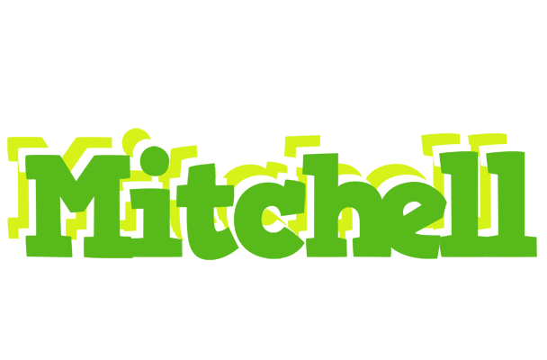 Mitchell picnic logo