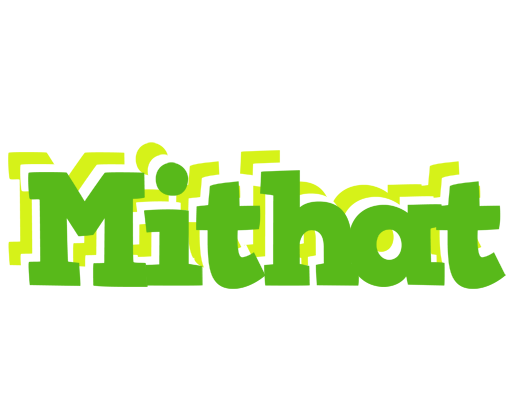 Mithat picnic logo
