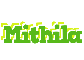 Mithila picnic logo