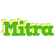 Mitra picnic logo