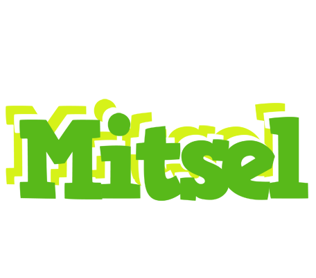 Mitsel picnic logo