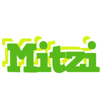 Mitzi picnic logo