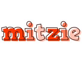Mitzie paint logo