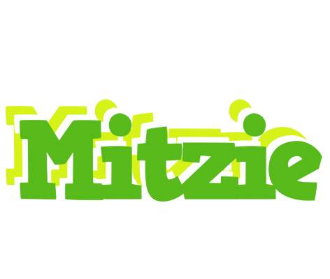 Mitzie picnic logo