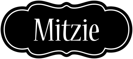 Mitzie welcome logo