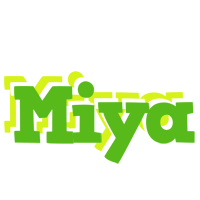 Miya picnic logo