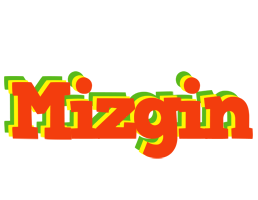 Mizgin bbq logo