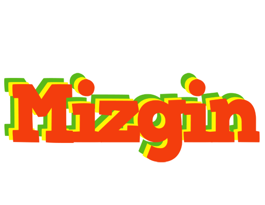 Mizgin bbq logo