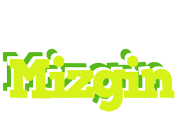 Mizgin citrus logo