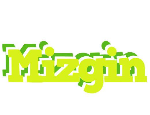 Mizgin citrus logo
