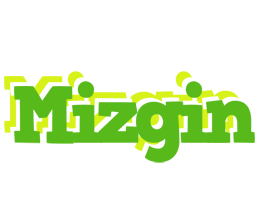 Mizgin picnic logo