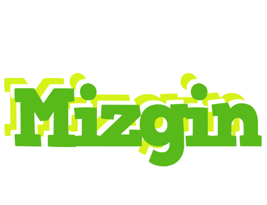 Mizgin picnic logo