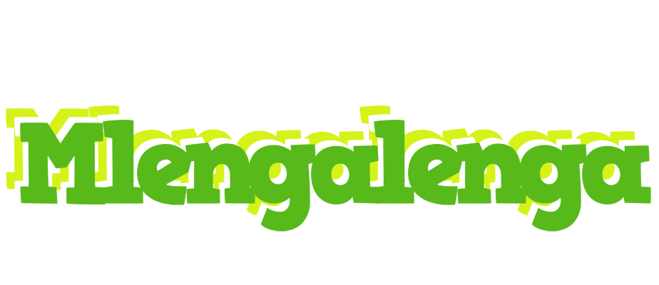 Mlengalenga picnic logo